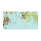 TOPO Sweden v7 PRO-4