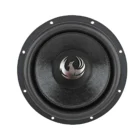 Phoenix Gold ZP12D4 12-tuuman Street Bass subwoofer