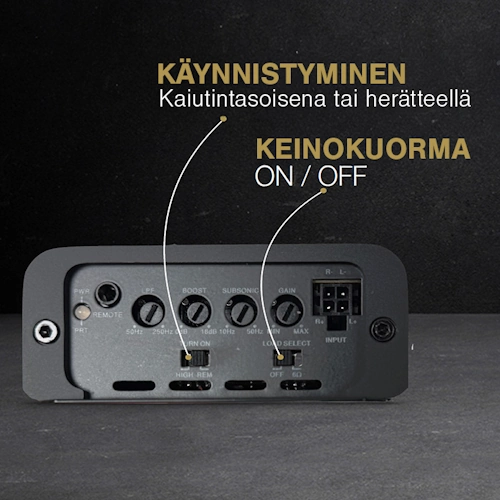 Phoenix Gold ZXM500.1i monovahvistin-5