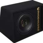 Phoenix Gold Z10AB koteloitu 10-tuuman aktiivisubwoofer-2