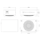 Phoenix Gold ZX18PDF 8-tuuman koteloitu subwoofer mitat