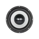 Ground Zero 10 tuuman subwoofer-elementti, etuosa