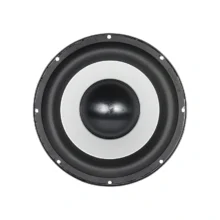 Ground Zero 10 tuuman subwoofer-elementti, etuosa